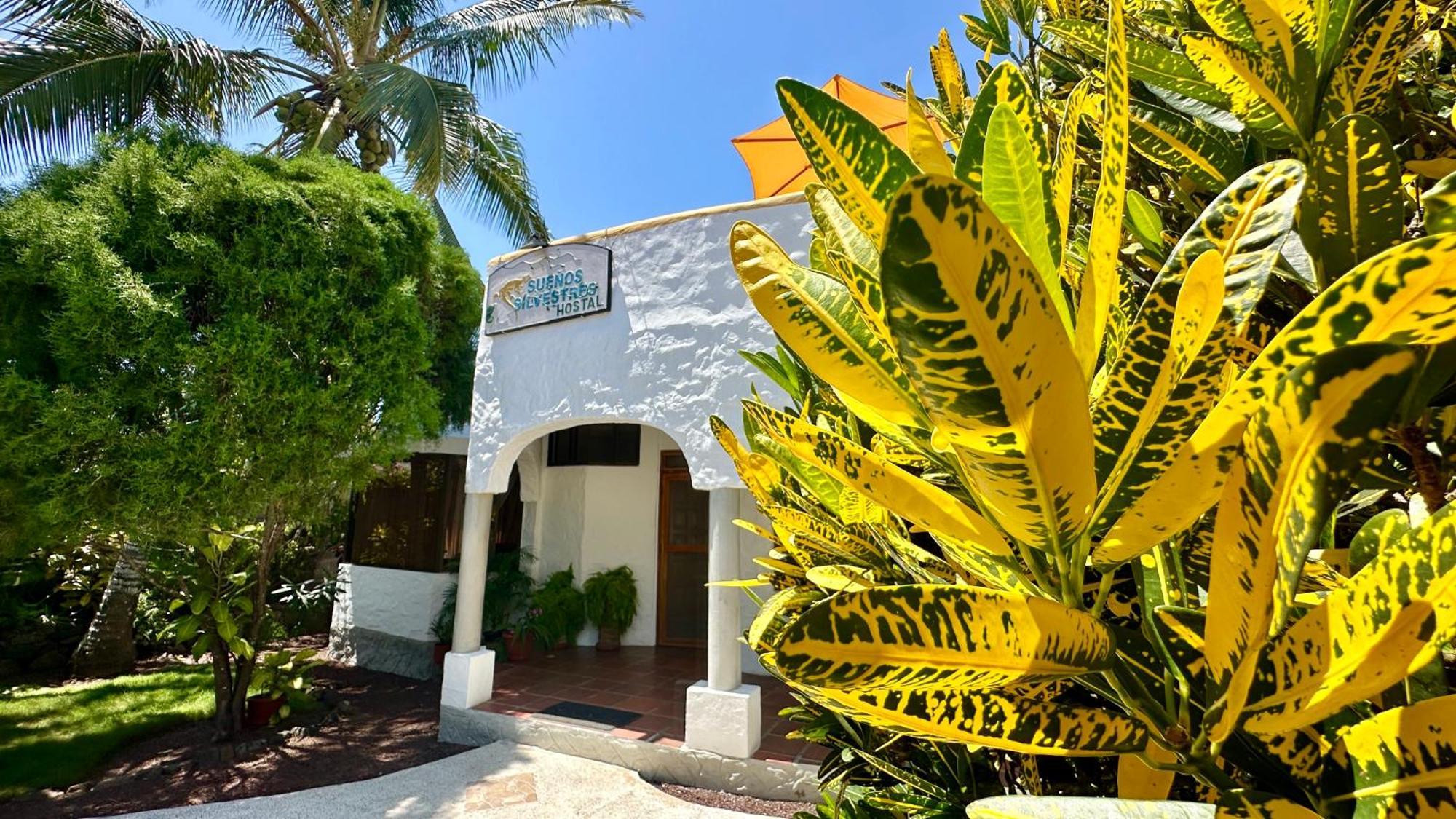 Hostal Suenos Silvestres Puerto Ayora  Exteriör bild