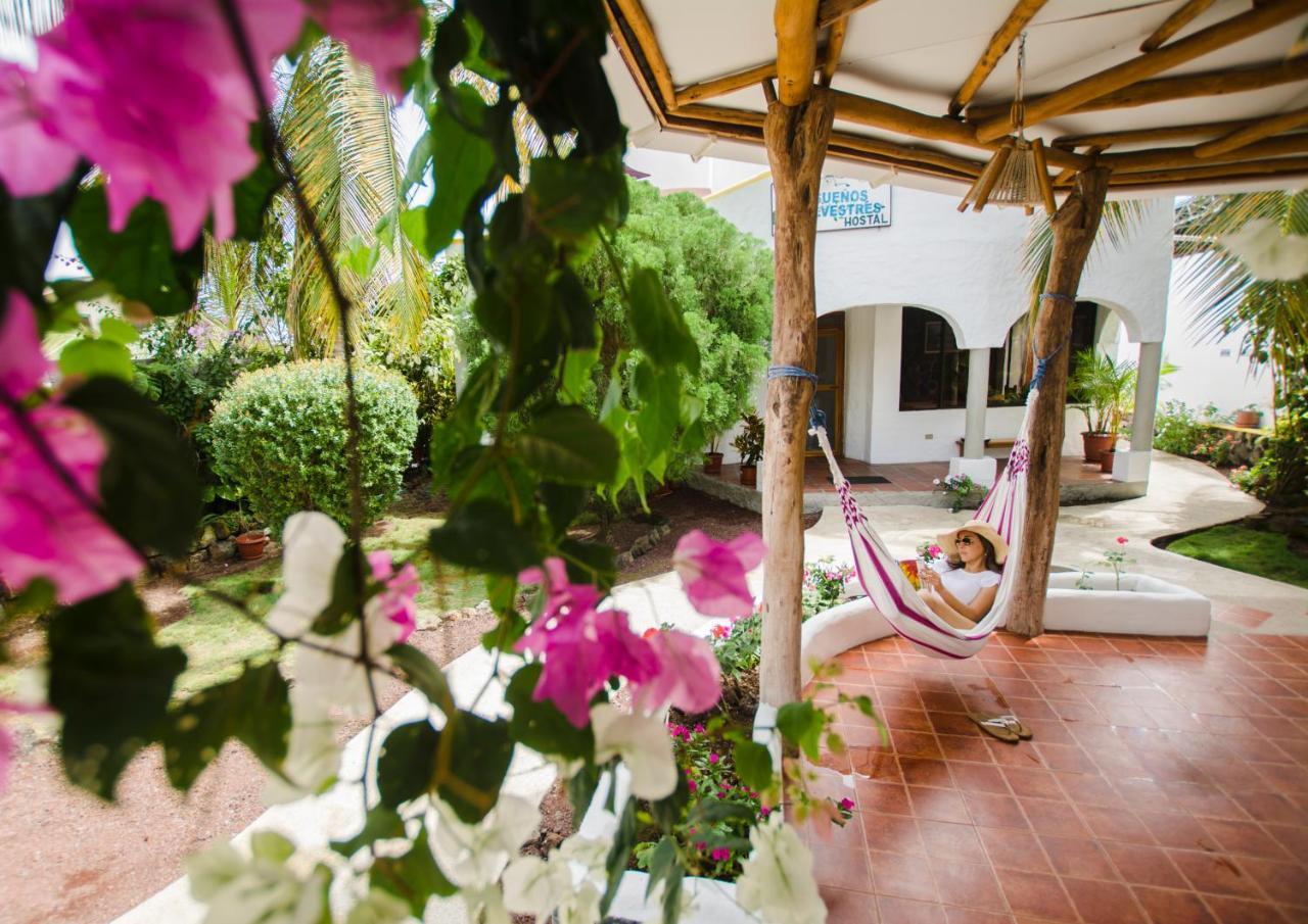 Hostal Suenos Silvestres Puerto Ayora  Exteriör bild
